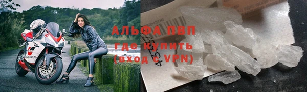 эйфоретик Баксан